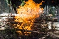 Burning forest campfire.texture and background of burning coal close up Royalty Free Stock Photo