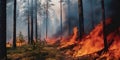 A burning forest, emphasizing the consequences of unchecked wildfires and climate change, concept of Environmental Royalty Free Stock Photo