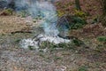 Burning forest fire pine spruce branches bonfire detail of ash