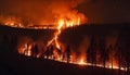 Burning forest at night. AI generated. Royalty Free Stock Photo