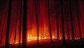 Burning forest at night. AI generated. Royalty Free Stock Photo