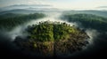 Burning Forests: The Devastating Impact of Deforestation. Generative AI