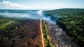 Burning Forests: The Devastating Impact of Deforestation. Generative AI