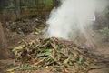 Burning garbage. grass and leaves burns in the garden. Fire and Smoke from during Burning of garden waste. Garbage in fire Royalty Free Stock Photo