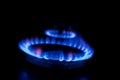 Burning gas burner Royalty Free Stock Photo
