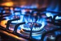 Burning gas burners on a kitchen gas stove