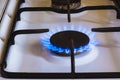 Burning gas, gas stove burner, hob in kitchen. Royalty Free Stock Photo