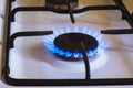 Burning gas, gas stove burner, hob in kitchen. Royalty Free Stock Photo