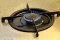 Burning gas, gas stove burner, hob in the kitchen Royalty Free Stock Photo