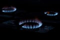 Burning gas on the kitchen gas stove Royalty Free Stock Photo