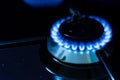 Burning gas stove blue flames close up in the dark on a black background