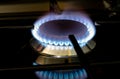 Burning gas stove blue flames close up in the dark on a black background Royalty Free Stock Photo