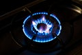 Burning gas, gas stove burner, hob in the kitchen. Royalty Free Stock Photo