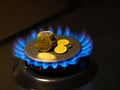 Burning gas stove hob blue flames with coins, close up Royalty Free Stock Photo