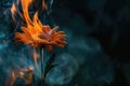 Burning gerbera daisy flower, plant on fire. AI Generated Royalty Free Stock Photo