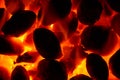 Burning glowing coal fire - close-up background