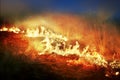 burning grass in the field