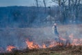 Burning grass on the field in village. Burning dry grass in fields. Wild fire due to hot windy weather in summer