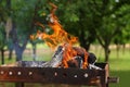 Burning Grill outdoor wood fire at garden