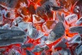 Burning hot charcoal in closeup Royalty Free Stock Photo