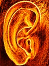 Burning hot human ear