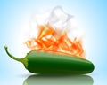 Burning Hot Jalapeno Pepper Royalty Free Stock Photo
