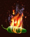Burning Hot Jelapeno Pepper Royalty Free Stock Photo