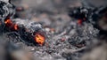 Burning hot red coals among black ash. Texture of bonfire abstract background Royalty Free Stock Photo