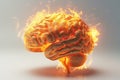 burning human brain on fire with flames Royalty Free Stock Photo