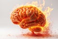 burning human brain on fire with flames on white isolated background Royalty Free Stock Photo