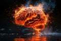 burning human brain on fire with smoke on black isolated background Royalty Free Stock Photo