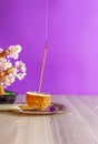 Burning incense stick in a half orange filled with rock salt. Copy space. Artifial bonsai tree with rose quartz stones at backgrou Royalty Free Stock Photo
