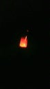 Burning insence stick is glowing in the dark