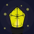 Burning lantern with fireflies Royalty Free Stock Photo