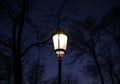 Burning lantern in a night park Royalty Free Stock Photo