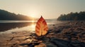 Burning leaf at land of cracked earth metaphor drought and Green leaf with river Climate change Royalty Free Stock Photo