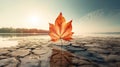 Burning leaf at land of cracked earth metaphor drought and Green leaf with river Climate change Royalty Free Stock Photo