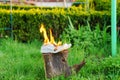 Burning leather sports shoes. Sneakers or gym shoes on fire stand on the Stump.