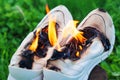 Burning leather sports shoes. Sneakers or gym shoes on fire stand on the Stump.