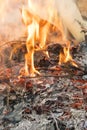 Burning leaves. Fire in the forest. Harmful smoke from burning leaves. vertical photo Royalty Free Stock Photo
