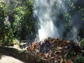 Burning leaves in the tropics