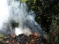 Burning leaves in the tropics