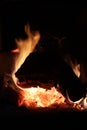 Burning log. The fire. Royalty Free Stock Photo