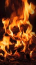 Burning log fire Royalty Free Stock Photo