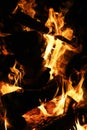 Burning log fire vertical Royalty Free Stock Photo