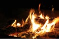 Burning Log in Hot Fire and Flames Royalty Free Stock Photo