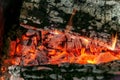 Burning log of wood close-up as abstract background Royalty Free Stock Photo