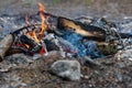 Burning log of wood close-up as abstract background, the hot embers of burning wood log fire Royalty Free Stock Photo