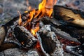 Burning log of wood close-up as abstract background, the hot embers of burning wood log fire Royalty Free Stock Photo