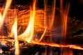 Burning log of wood close-up as abstract background Royalty Free Stock Photo